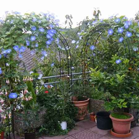 M. Lemmermeyer Neumagen-Dhron