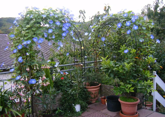 M. Lemmermeyer Neumagen-Dhron